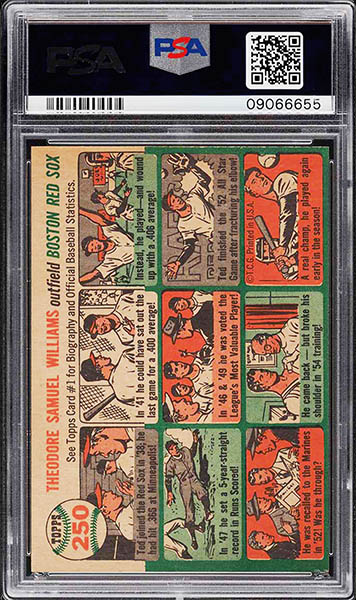 1954 TOPPS TED WILLIAMS CARD #250 back GRADED PSA 9