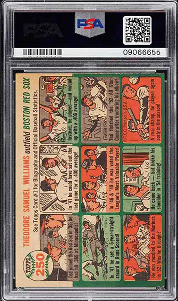 1954 Topps #1 Ted Williams Value - Baseball